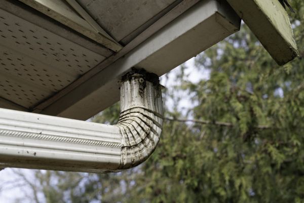 Roof Drain Replacement in Valdosta