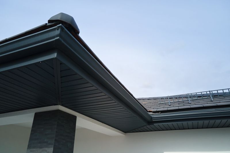 Steel Gutters Service detail